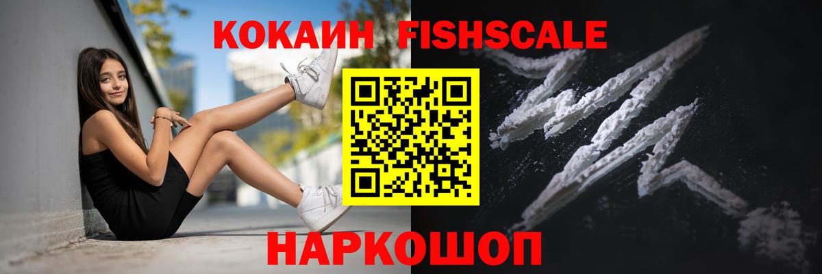 Камышлов  Cocaine  Cocaine Fish Scale  Вход с VPN  Cocaine Columbia 