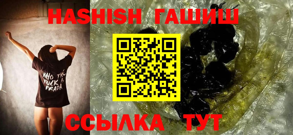 ГАШ Premium Камышлов