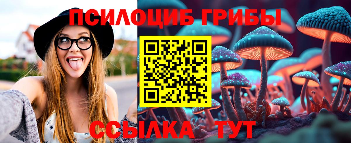 Камышлов  Псилоцибиновые грибы ЛСД  Вход с VPN 