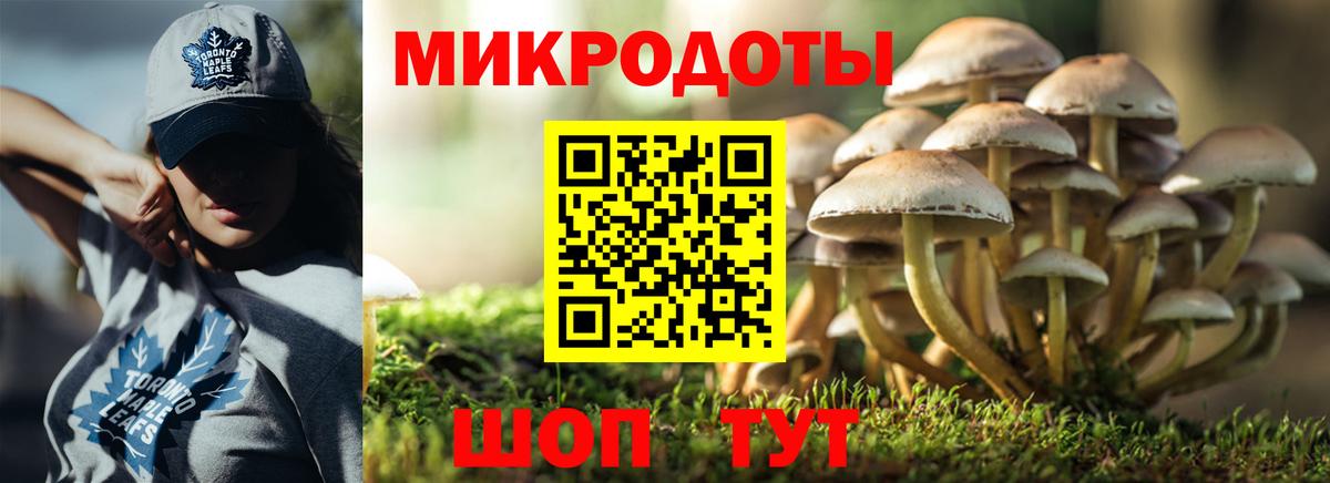 Галлюциногенные грибы GOLDEN TEACHER Камышлов